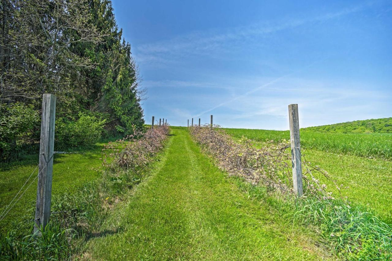 Country Escape With Sauna, 10 Mi To Cooperstown Richfield Springs Eksteriør billede