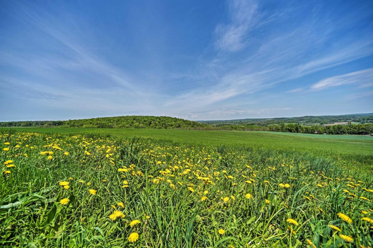 Country Escape With Sauna, 10 Mi To Cooperstown Richfield Springs Eksteriør billede