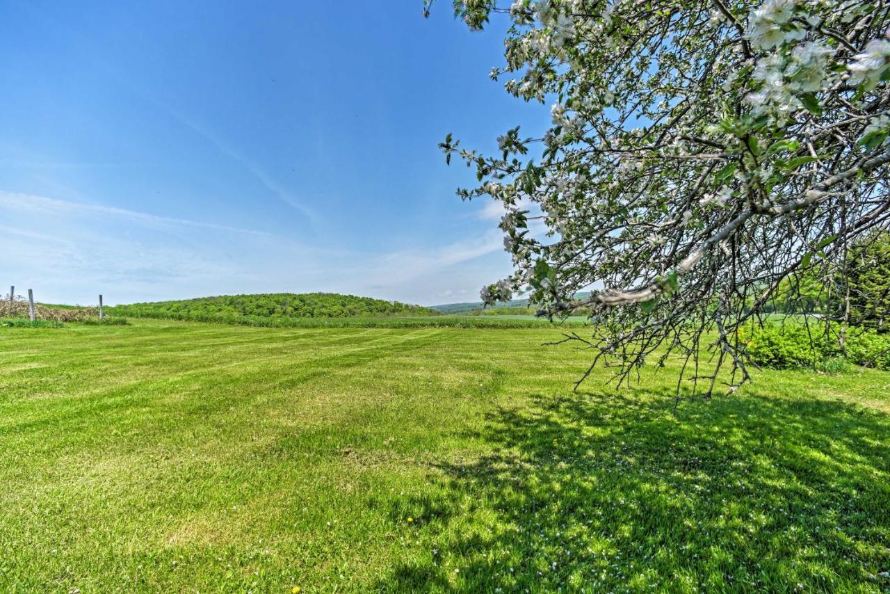 Country Escape With Sauna, 10 Mi To Cooperstown Richfield Springs Eksteriør billede